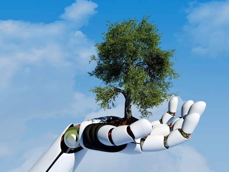 How Can Climate Robots Help Fight Global Warming?