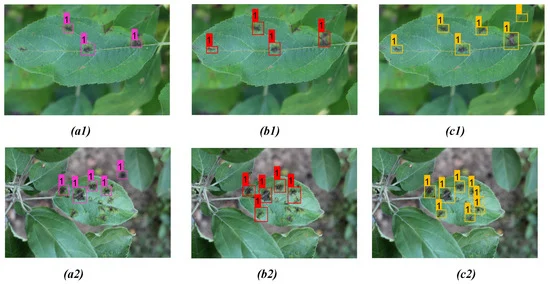 Comparison of detection result for apple scab on two distinct apple leaves from three models: (a1,a2) YOLOv3; (b1,b2) YOLOv4; (c1,c2) proposed model.