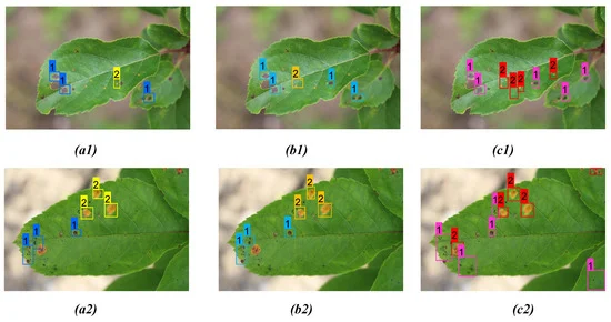 Comparison of detection result for both apple scab and rust on two distinct apple leaves from three models: (a1, a2) YOLOv3; (b1, b2) YOLOv4; (c1, c2) proposed model.