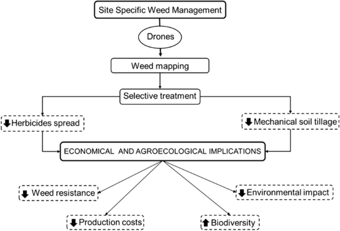 Site-specific weed management (SSWM) scheme realized by drones and its economical and agro-ecological implications.