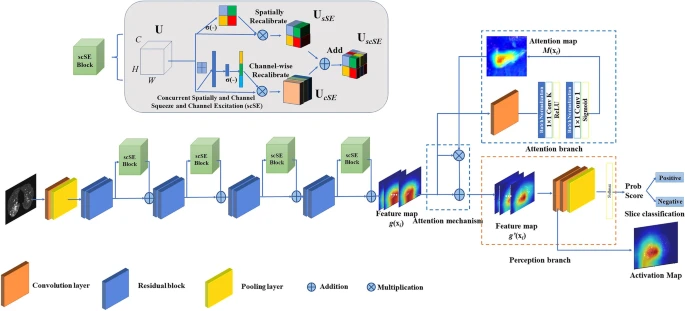 CNN architecture of a deep learning system for slice selection and disease evaluation. The neural network architecture of the subsystem is based on Attention Branch ResNet and Grad-CAM. The convolution (Conv) layers are used to filter the input full CT scan and extract effective features