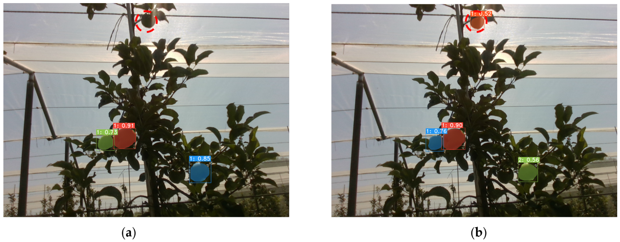 Performance of the detection and segmentation of YOLACT++ network in back lighting in sunny conditions. (a) ResNet-50; (b) ResNet-101.