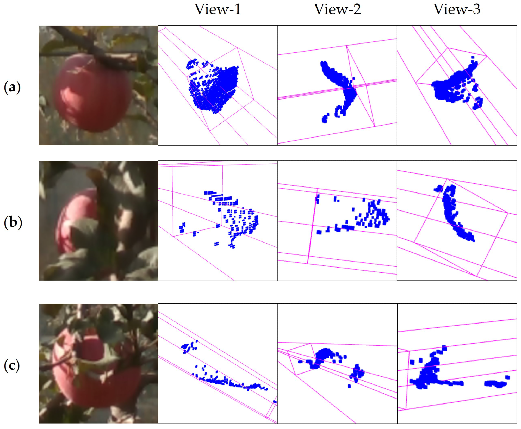 Distortion and fragments of the targets’ point clouds. (a) Non-occluded fruits’ point clouds with little distortion and good completeness; (b) leaf-occluded fruits’ point clouds with considerable distortion and good completeness; (c) leaf-occluded fruits’ point clouds with considerable distortion and fragments.