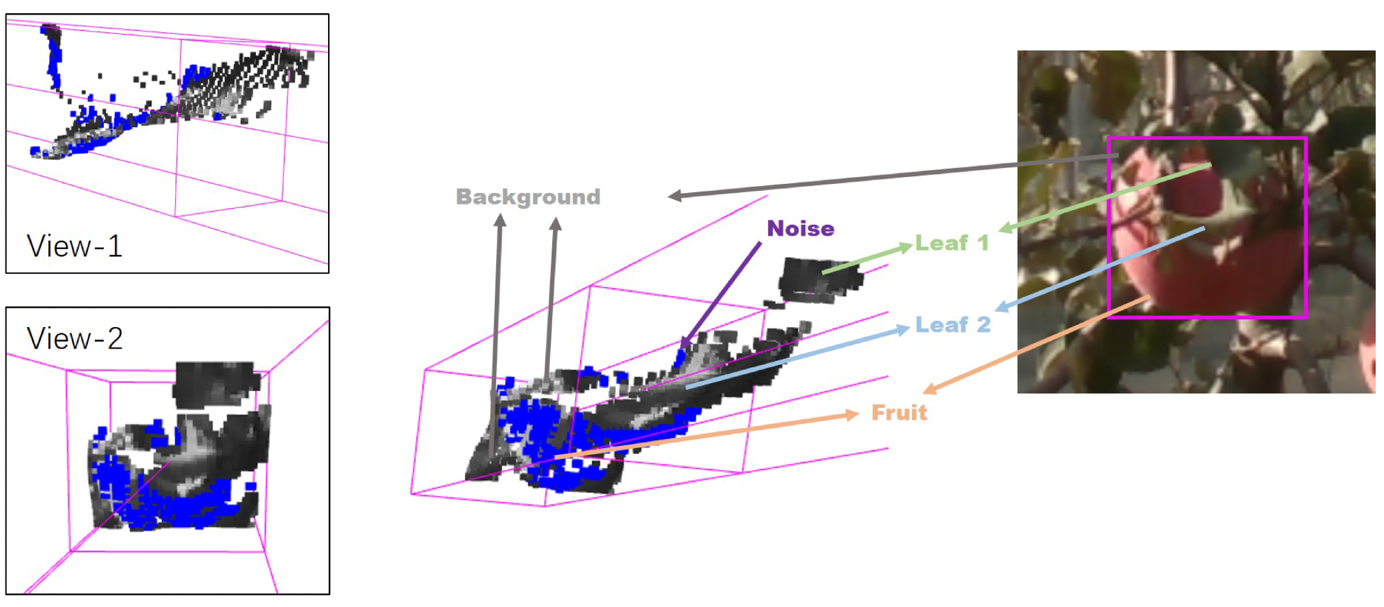 The point cloud in a frustum of partially occluded fruits, including point clouds of fruits (in blue), leaves, the background, and noise. View 1 and View 2 are two different angles of view of the point cloud: View 1 (left front); View 2 (front).