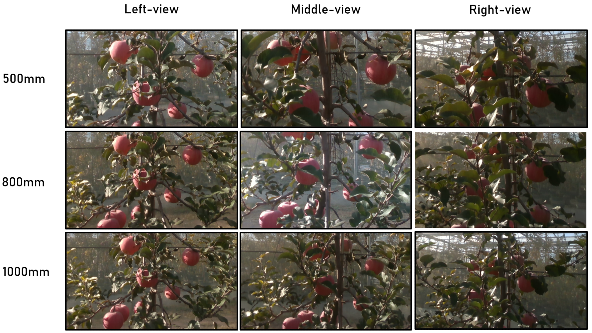 The fruits of the comparison tests at three different distances and views.