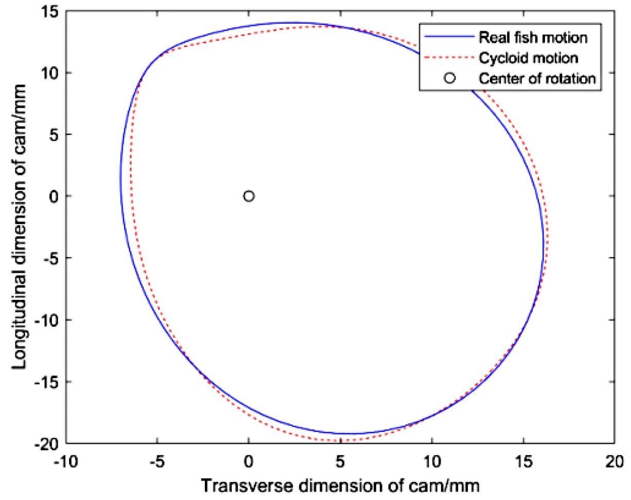 The two cam profiles for achieving real fish motion and cycloid motion.