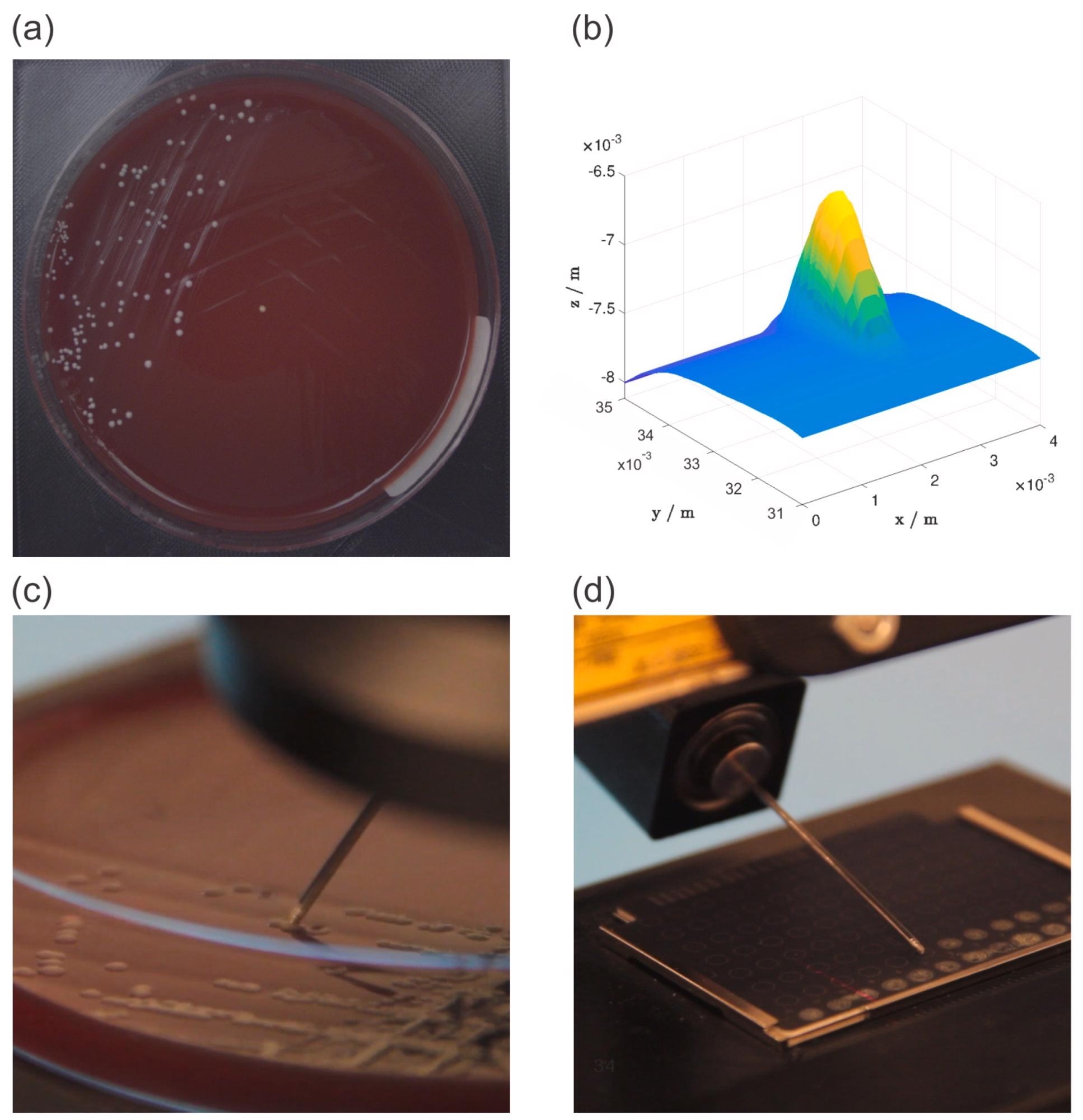 Overview of the experiment workflow: an image of a petri dish acquired with an RGB camera (a), a 3D model of the selected bacterial colony generated from 2D laser profiles (b), the bacterial colony picking process (c), and the bacterial colony deposition process (d).