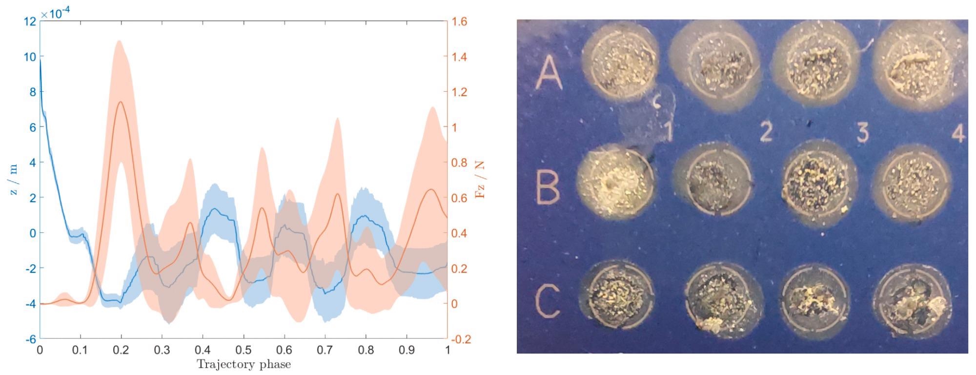 The contact force between the end–effector needle and MALDI target plate and the corresponding compensated z position (left), and an image of deposited colonies on the MALDI target plate after being covered with the matrix solution (right).