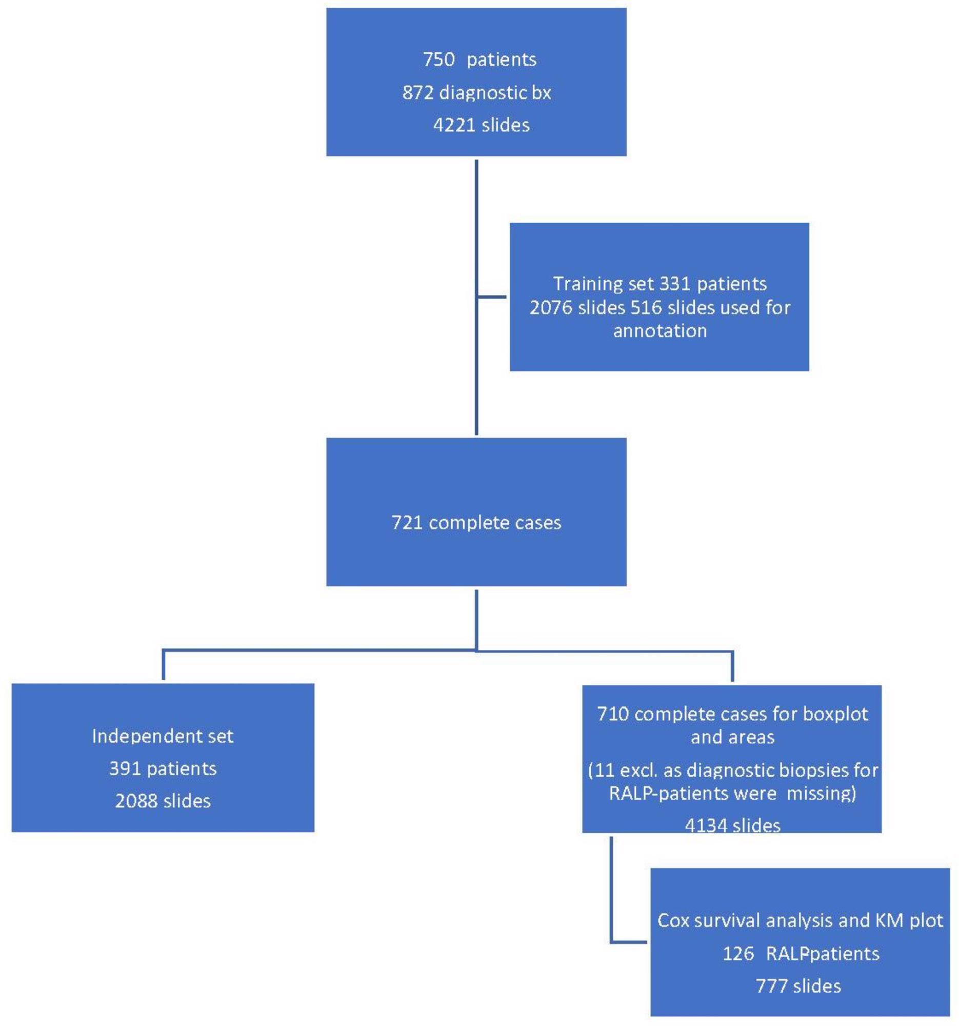 Workflow of the study cohort data selection depicting a training set, an independent set, and a radical prostatectomy (RALP) patient cohort from 872 prostate core biopsy series.
