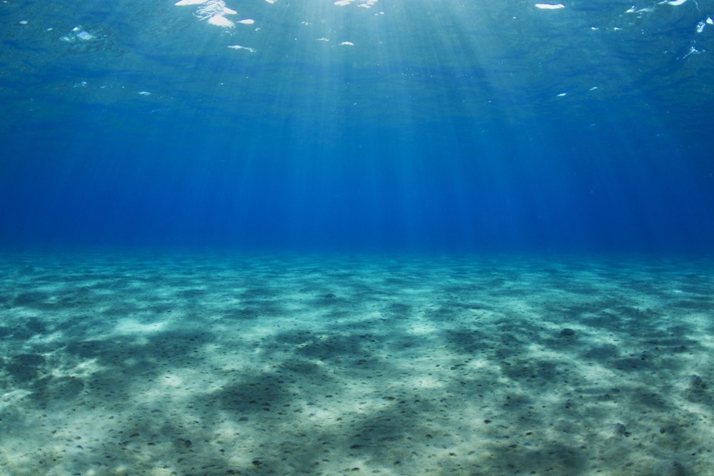 New Robot Collects Rare and Valuable Metals from the Seabed - Vimarsana News