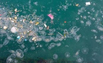 The Use of AI in Detecting Marine Litter