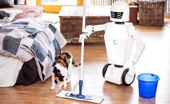 Household Robotics: Enabling Innovation or Promoting Domestic Detachment?