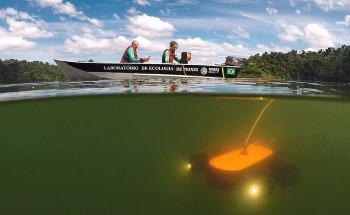 Underwater Drones Could Perform Fish Surveys in Reservoirs
