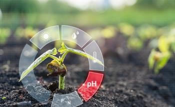 How Can AI Help Monitor Soil Quality?