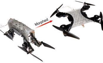 Multifunctional Shape-Morphing Material for Soft Robots