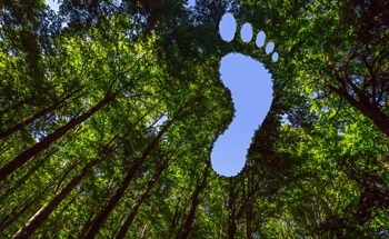 Tracking AI's Growing Carbon Footprint
