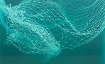Using AI to Help to Detect Illegal Fishing