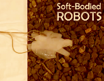 Soft-Bodied Robots