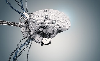 Building the Human Body: The Bionic Brain
