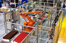 Manufacturing Robotics from Apex Automation and Robotics Pty Ltd.