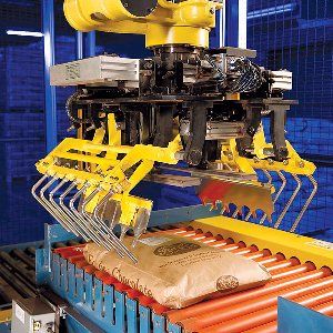 Bag Palletizing Systems from Packaging Automation Corp.