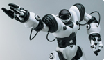 Robosapien™ Biomorphic Robotics from WowWee Group Limited.