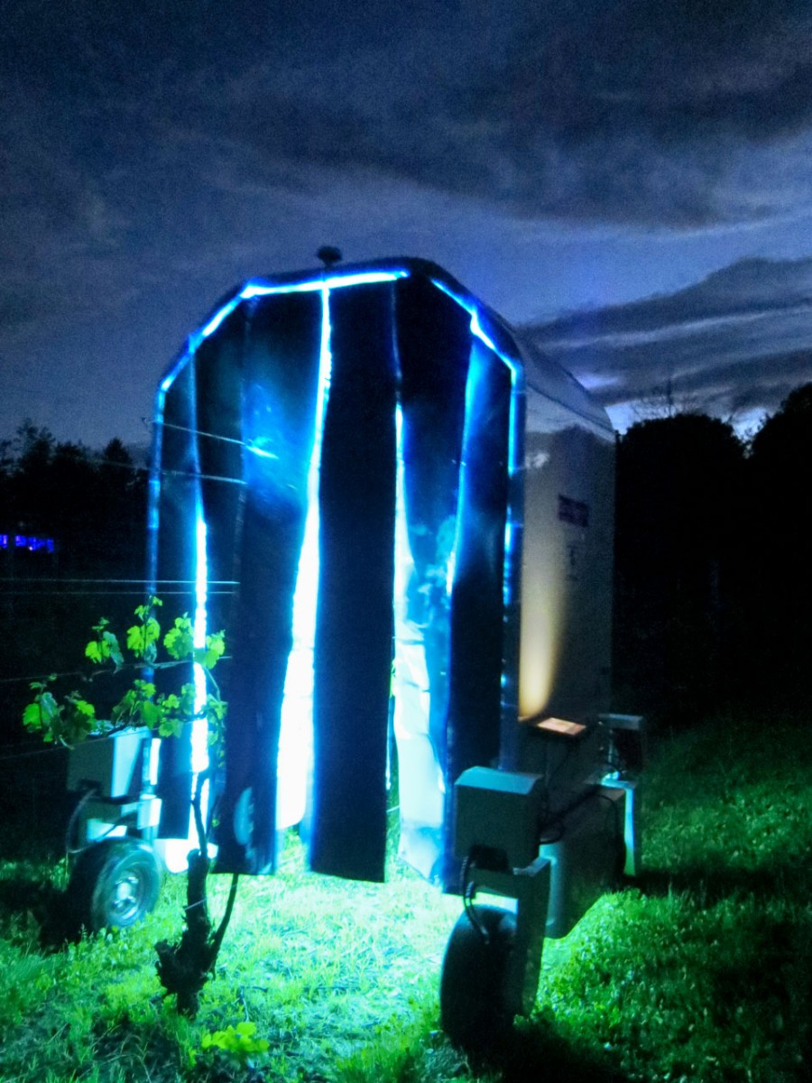 UV Lamp-Fitted Robots Effective at Killing Powdery Mildew in Vineyards