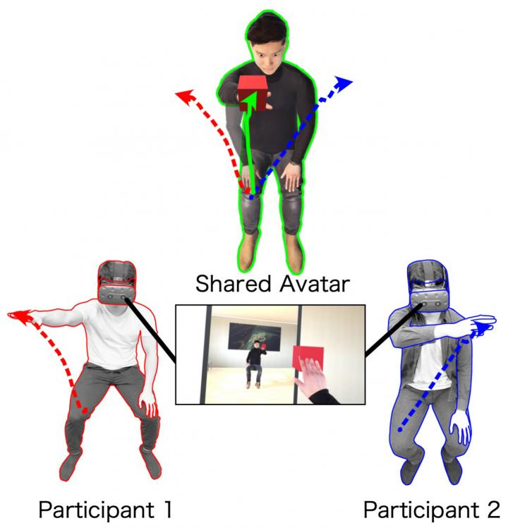 Human Motor Behaviors Investigated Through Different Avatars