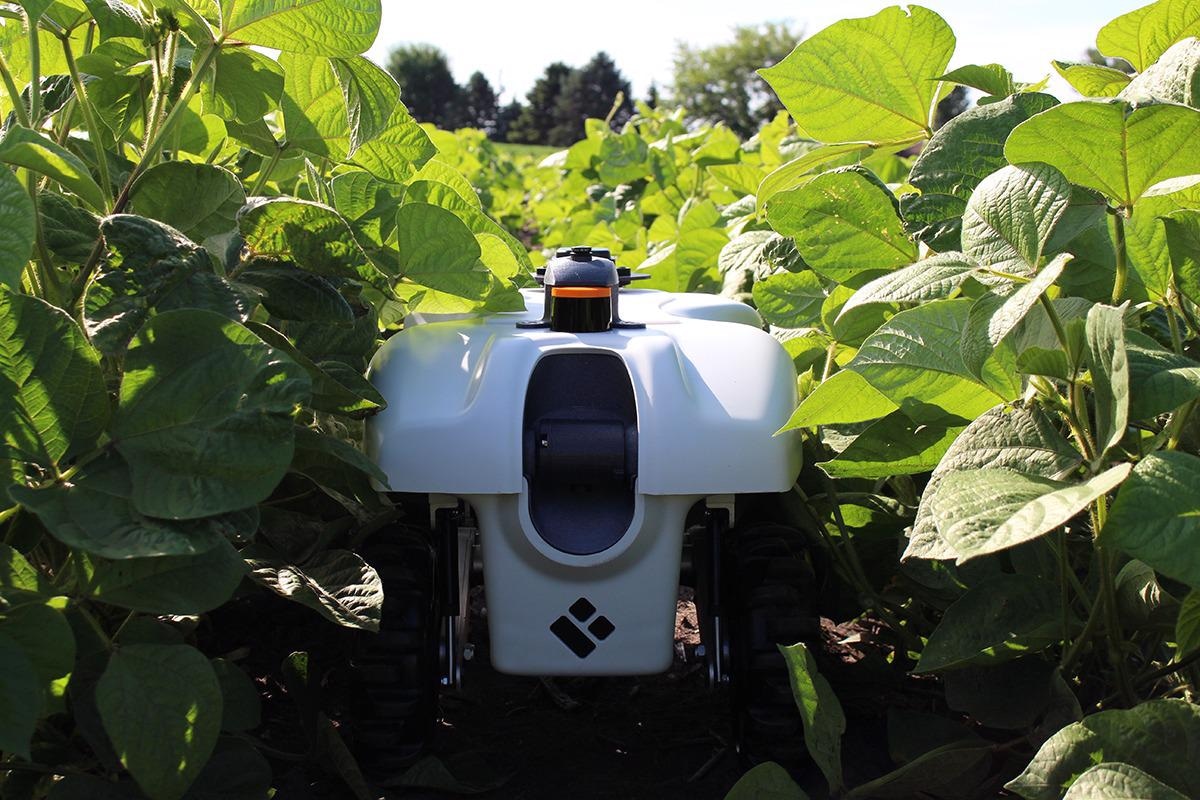 New Small-Scale Robots can Fertilize, Weed, Cull Single Plants in Field