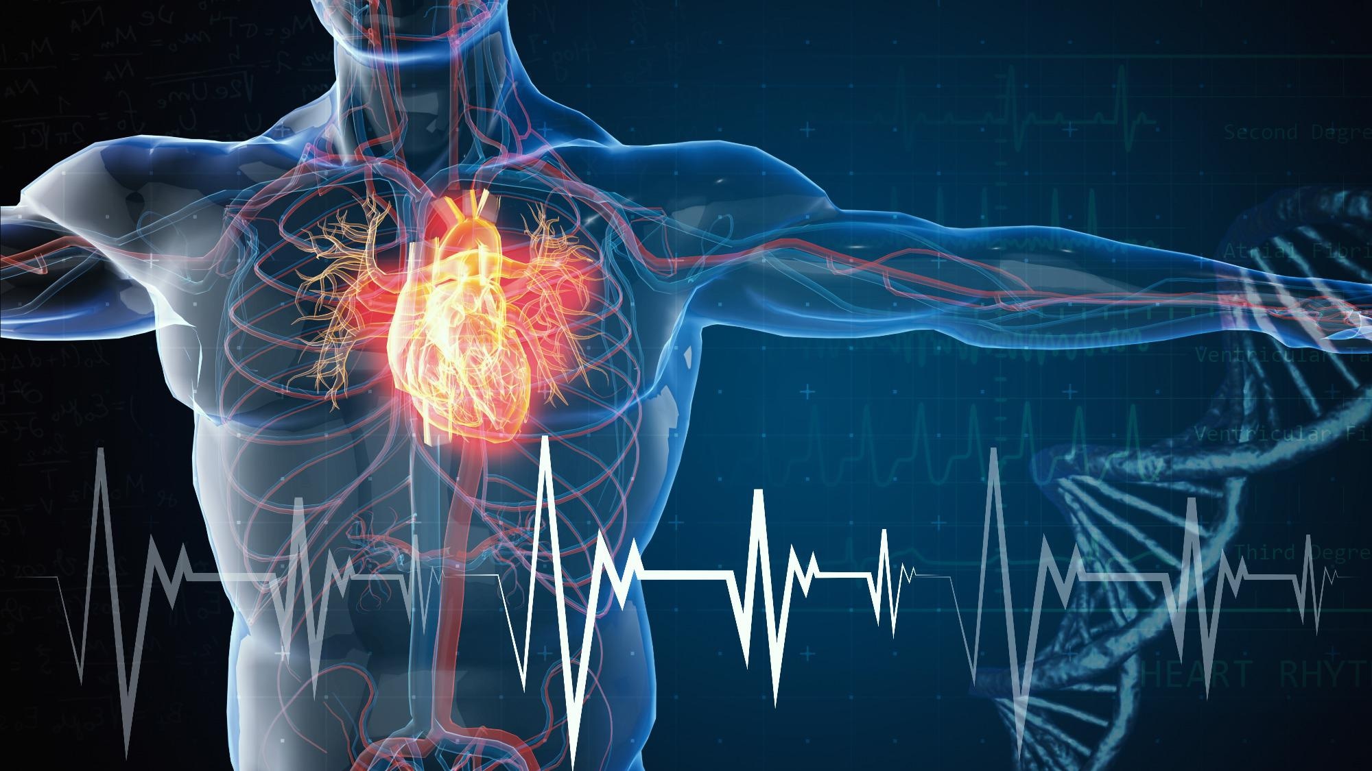 New Way to Identify Heart Failure Patients who Respond to Beta-Blocker Treatment.