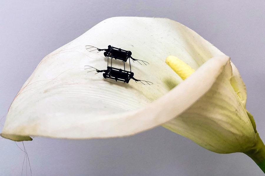 Improving the Performance of Aerial Microrobots.