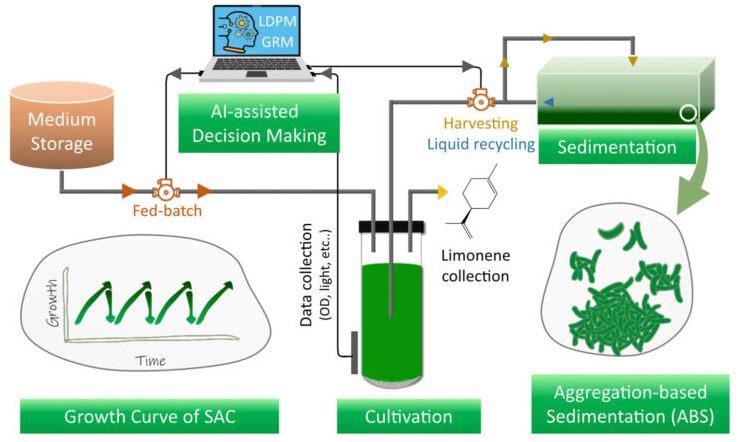 Artificial Intelligence Predicts Sustainable Biofuels from Algal.