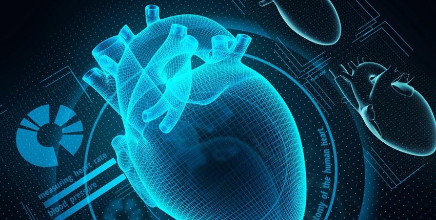 Researchers Use AI to Detect Organ Transplant Rejection.