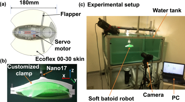 Researchers Develop New Method Using Machine Learning to Model the Dynamics of Underwater Stingray Robots.