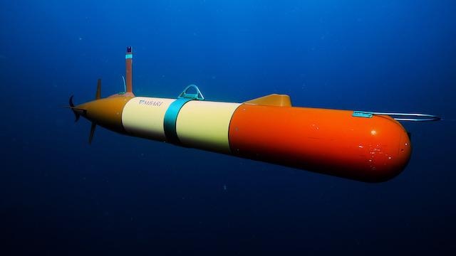 Autonomous Underwater Robots Transform Oceanographic Studies.