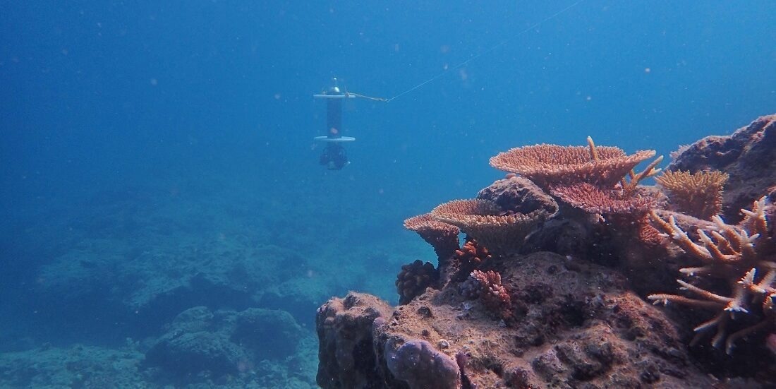 A seafloor monitoring program has been conducted in Australia where they can accurately keep the changes caused in the environment under surveillance.