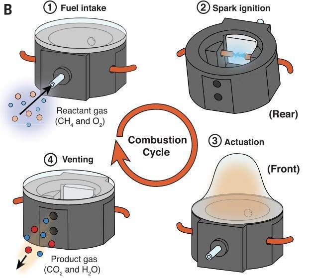 Diagram of the combustion actuation process. Image Credit: Cameron Aubin, Cornell University
