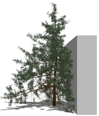 Transformer-Based Tree Generator Simulates Tree Growth and Shape