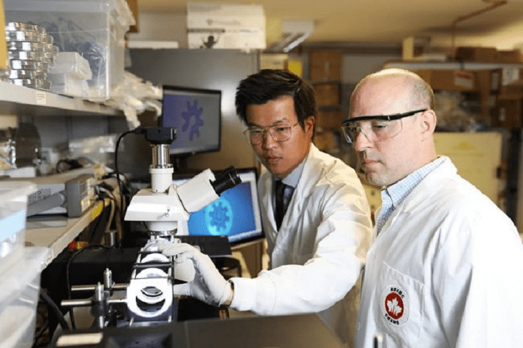 New Method of Manipulating Cells Using Microrobotics