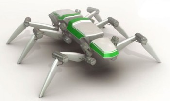 HECTOR Robot with Insect Like Morphology Developed for Cognitive Skills