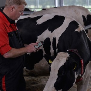 Lely Unveils New T4C InHerd Update with Additional Features