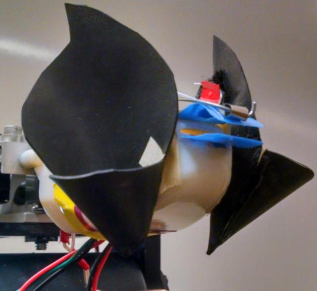 Horseshoe Bats Inspire Dynamic Robot Sonar System