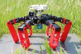 Innovative Robot Mimics Exceptional Navigation Capacities of Desert Ants