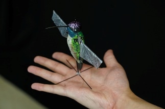 AI-Based Hummingbird Robot May Soon be Used in Applications Where Drones are Not Viable