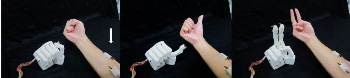 New 3D-Printed Prosthetic Hand Programmed to Perform Several Daily Tasks