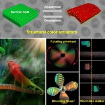 New Structural Color Soft Robot to Interact with Environment