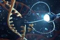 New Software Could Help Design Complex DNA Robots in Minutes