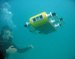 Adept MobileRobots Group to Add New Autonomous Underwater and Aerial Robots