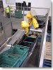 Greenvale Invests in Robots for Automating Food Packaging Unit