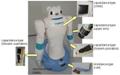 Researchers at RIKEN Develop RIBA-II Robot for Elderly Care